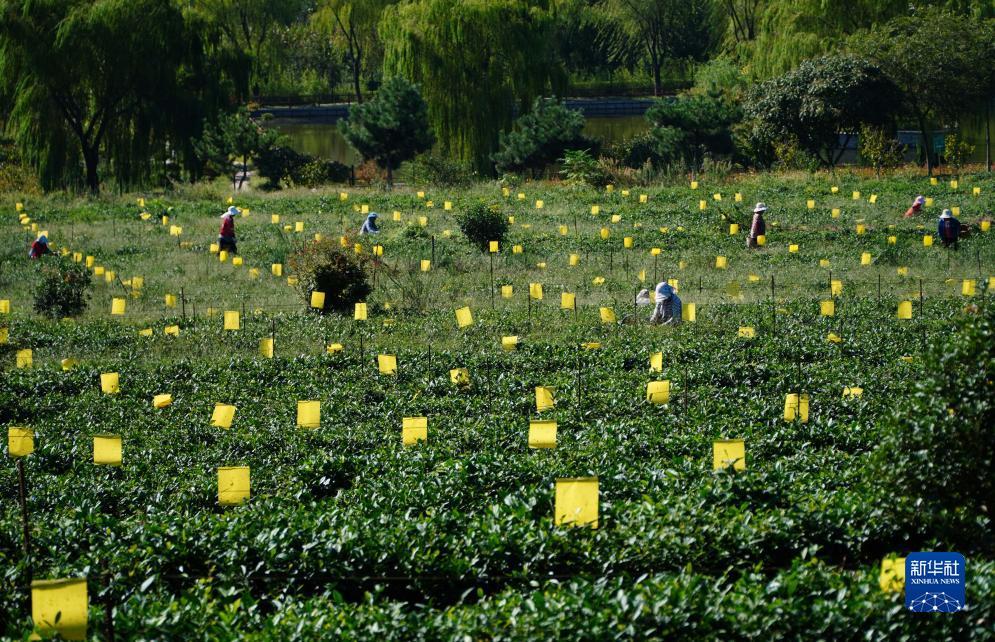 俄罗斯娱乐稳赢300吗?